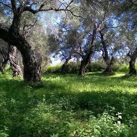 Villa Emilia * Lefkimmi (Corfu)